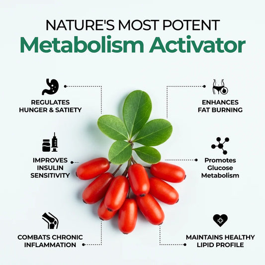 Vitalis Living Berberine HCL