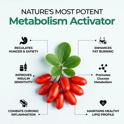 Vitalis Living Berberine HCL
